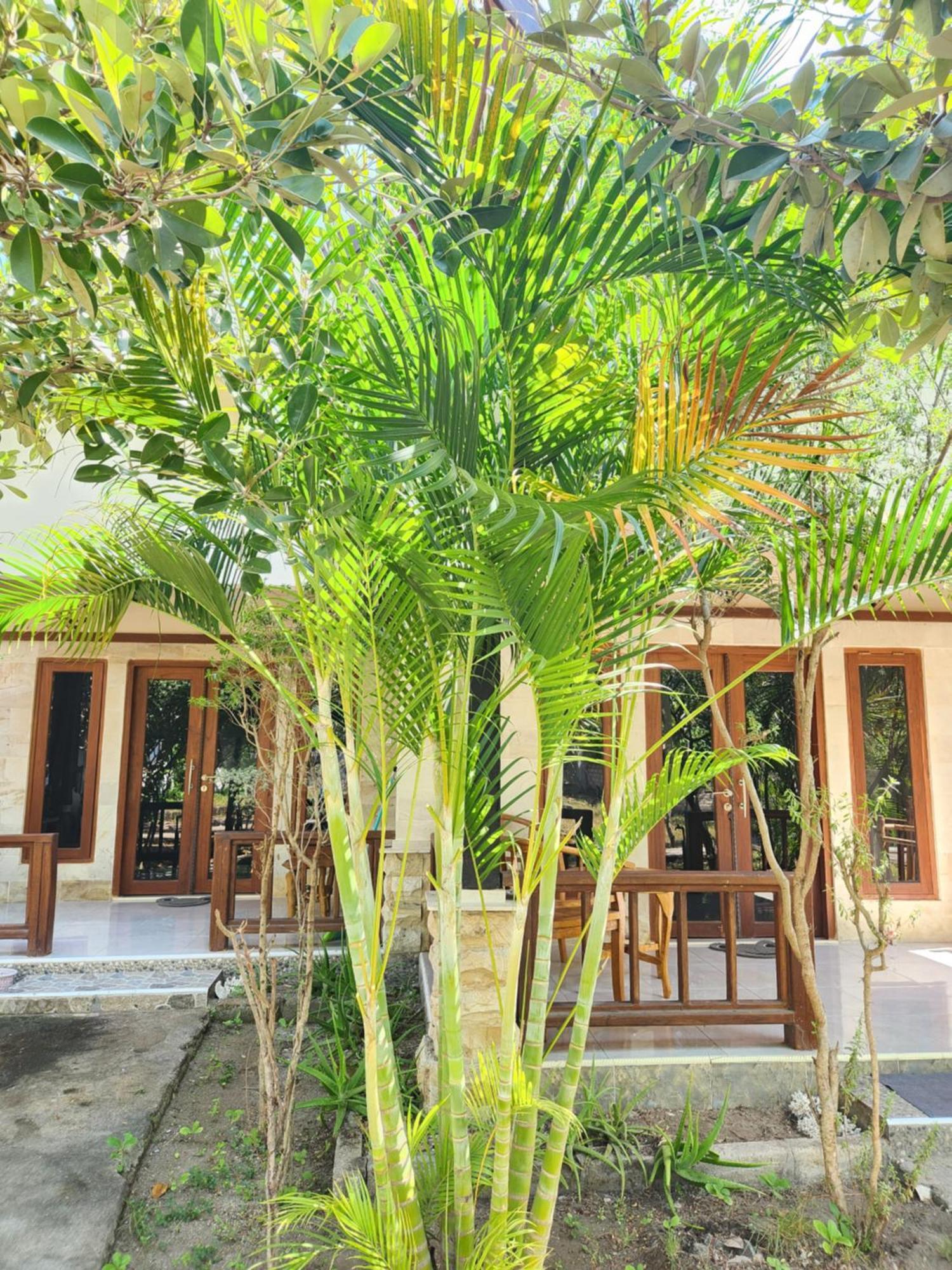 Run Gilis Apartment กิลิเมโน ภายนอก รูปภาพ