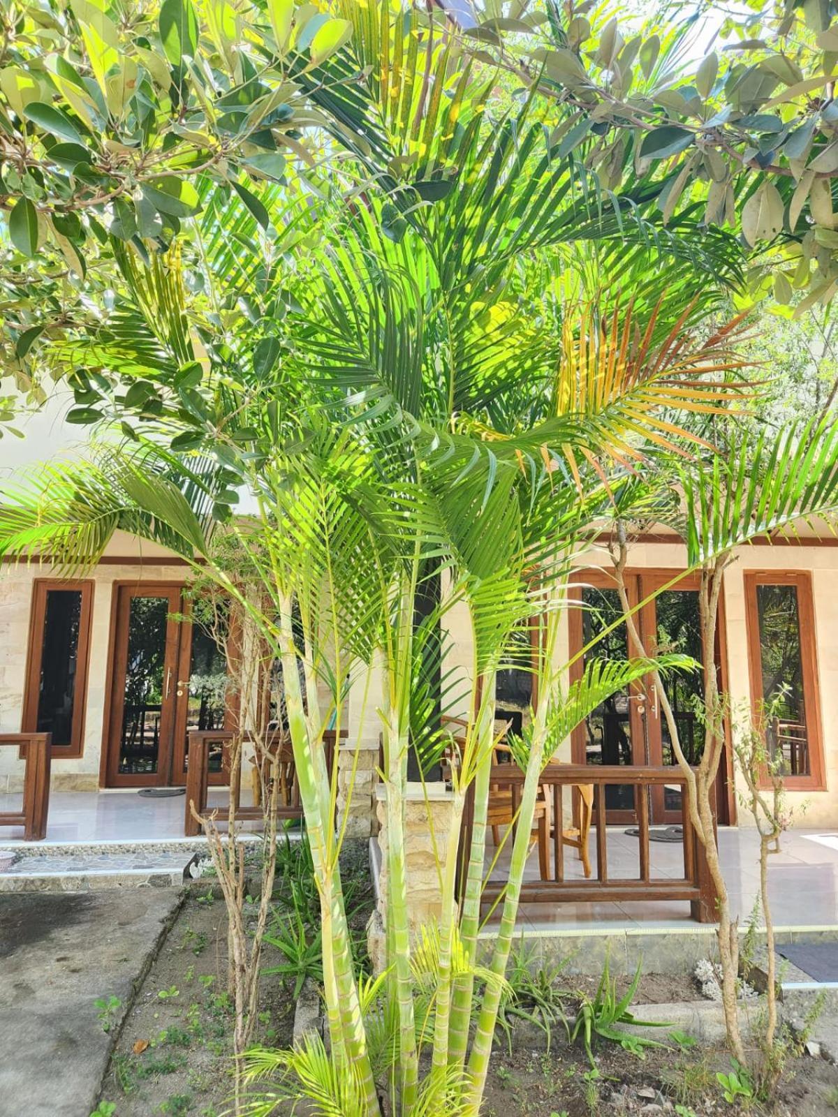 Run Gilis Apartment กิลิเมโน ภายนอก รูปภาพ